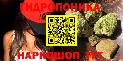 дурь Славянск-на-Кубани